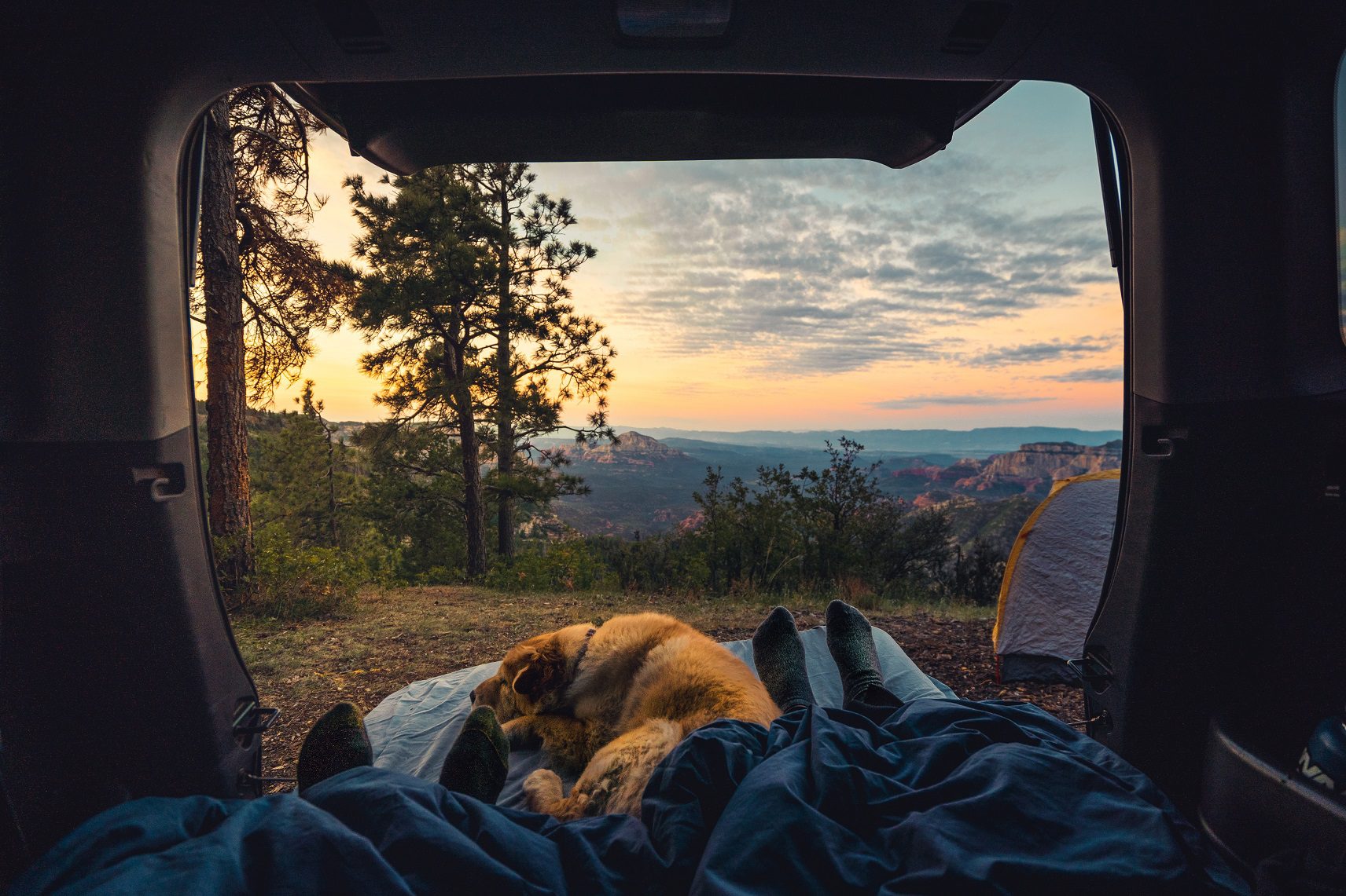A dog lies at its family’s feet in the back of a camper.